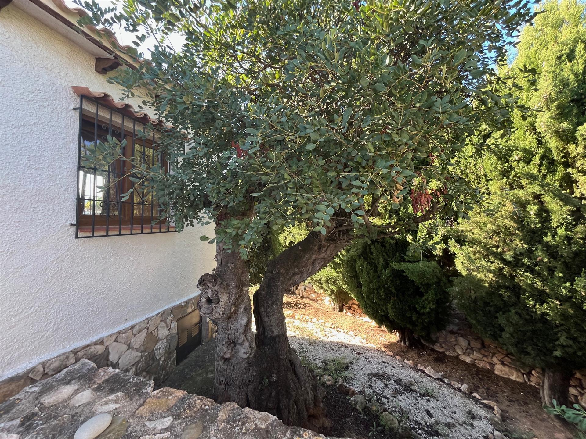 Authentic Mediterranean villa with ample opportunities in a prime location in Benissa Costa.