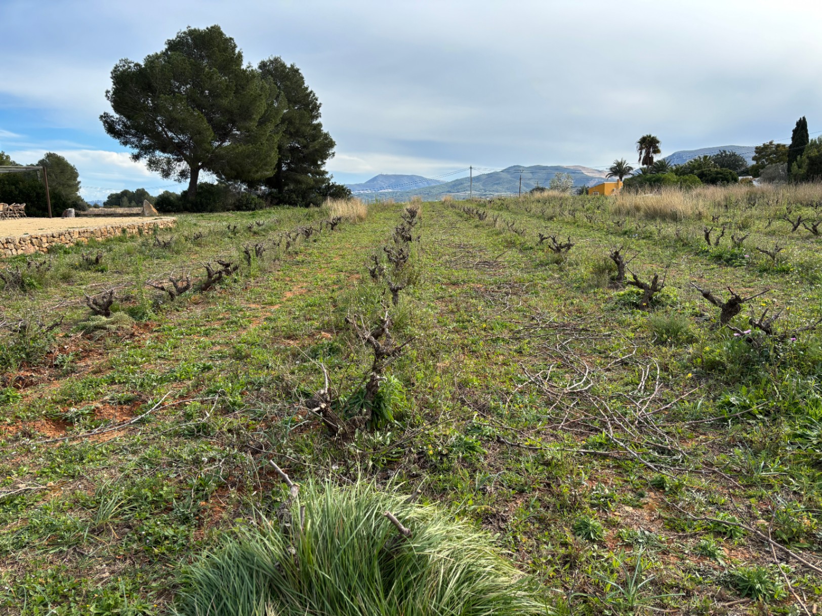 12727NS - Authentieke Finca met een Gastenverblijf en Panoramisch Uitzicht in Jesús Pobre Een verborgen paradijs aan de voet van de Montgó