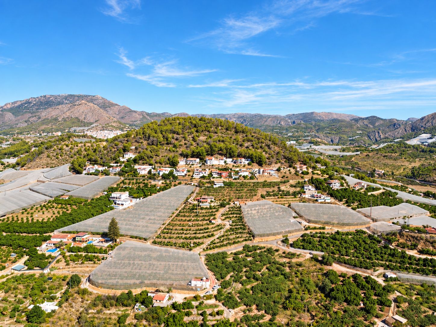 Villa Callosa De Ensarriá (34)
